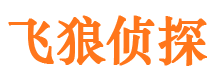 荆门外遇调查取证